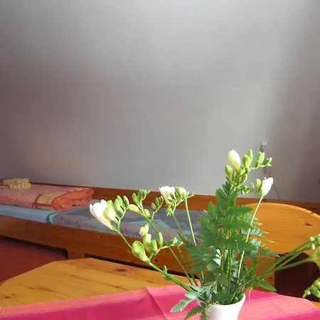 Gaestehaus Kapitaen Jan Ricklefs Nebel